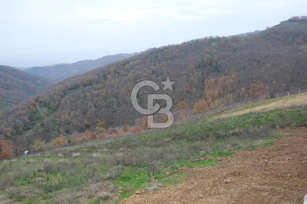 YALOVA SERMAYECİK 4404 M2 ARAZİ İÇİNDE MANZARALI BAĞ EVİ