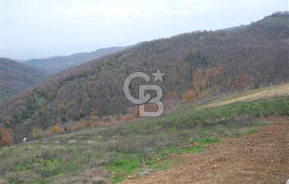 YALOVA SERMAYECİK 4404 M2 ARAZİ İÇİNDE MANZARALI BAĞ EVİ