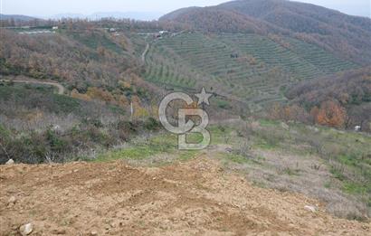 YALOVA SERMAYECİK 4404 M2 ARAZİ İÇİNDE MANZARALI BAĞ EVİ