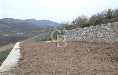 YALOVA SERMAYECİK 4404 M2 ARAZİ İÇİNDE MANZARALI BAĞ EVİ