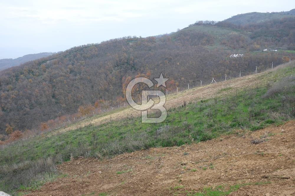 YALOVA SERMAYECİK 4404 M2 ARAZİ İÇİNDE MANZARALI BAĞ EVİ