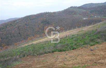 YALOVA SERMAYECİK 4404 M2 ARAZİ İÇİNDE MANZARALI BAĞ EVİ