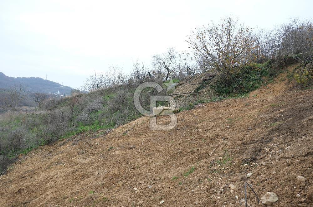 YALOVA SERMAYECİK 4404 M2 ARAZİ İÇİNDE MANZARALI BAĞ EVİ