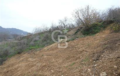 YALOVA SERMAYECİK 4404 M2 ARAZİ İÇİNDE MANZARALI BAĞ EVİ