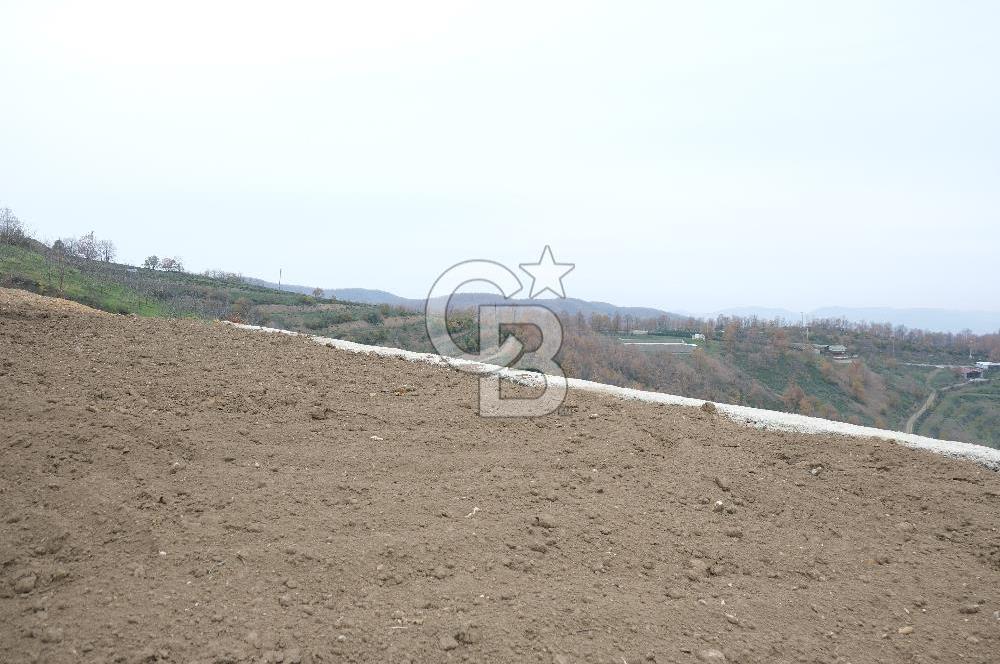 YALOVA SERMAYECİK 4404 M2 ARAZİ İÇİNDE MANZARALI BAĞ EVİ