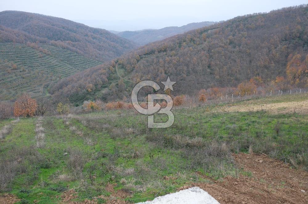 YALOVA SERMAYECİK 4404 M2 ARAZİ İÇİNDE MANZARALI BAĞ EVİ