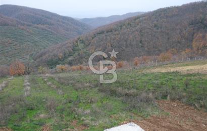 YALOVA SERMAYECİK 4404 M2 ARAZİ İÇİNDE MANZARALI BAĞ EVİ