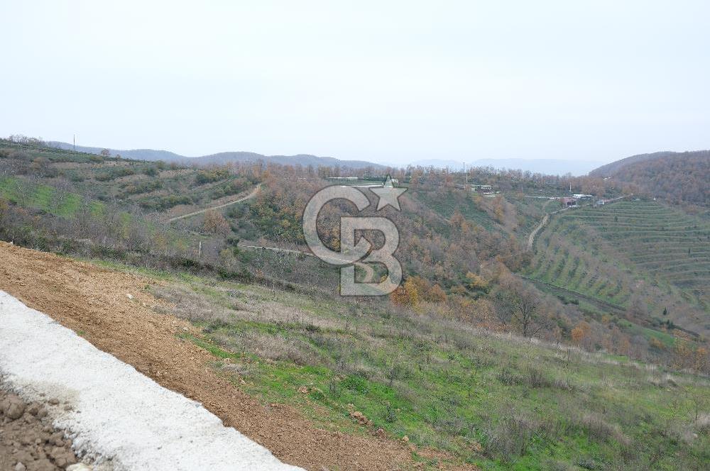 YALOVA SERMAYECİK 4404 M2 ARAZİ İÇİNDE MANZARALI BAĞ EVİ