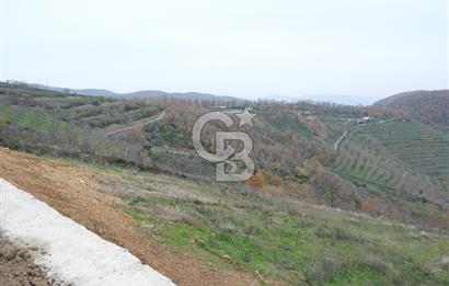 YALOVA SERMAYECİK 4404 M2 ARAZİ İÇİNDE MANZARALI BAĞ EVİ