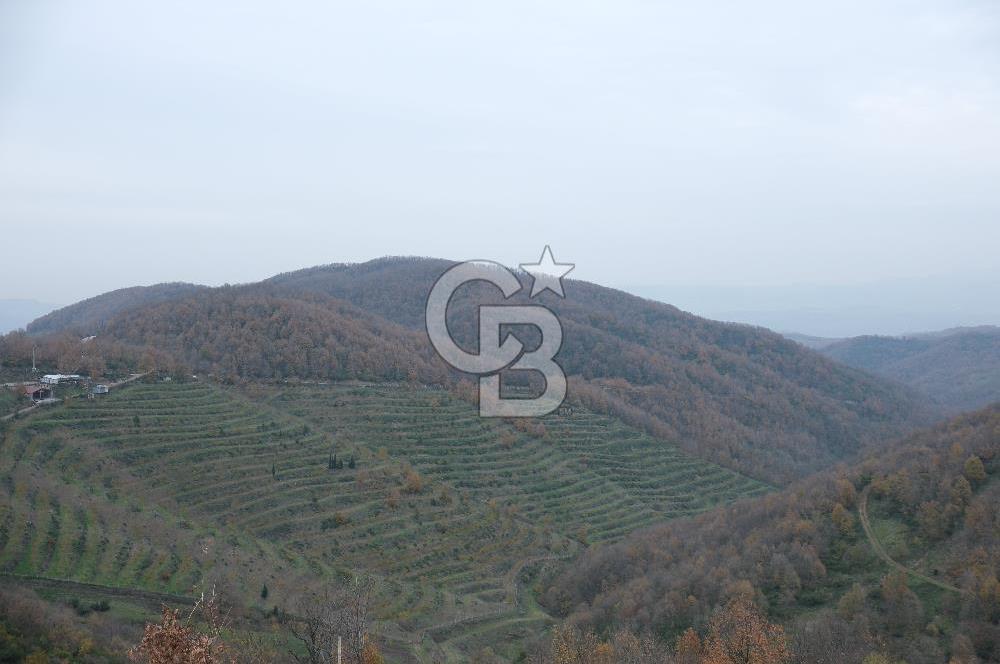 YALOVA SERMAYECİK 4404 M2 ARAZİ İÇİNDE MANZARALI BAĞ EVİ