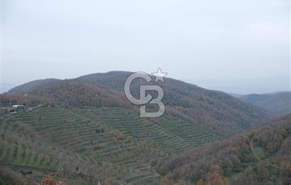 YALOVA SERMAYECİK 4404 M2 ARAZİ İÇİNDE MANZARALI BAĞ EVİ