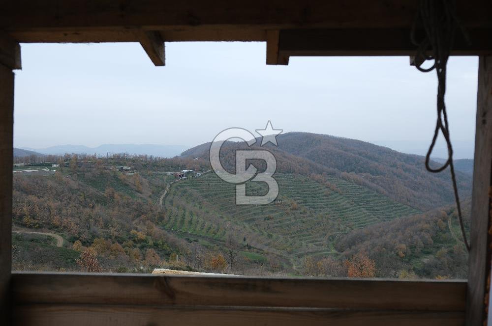 YALOVA SERMAYECİK 4404 M2 ARAZİ İÇİNDE MANZARALI BAĞ EVİ