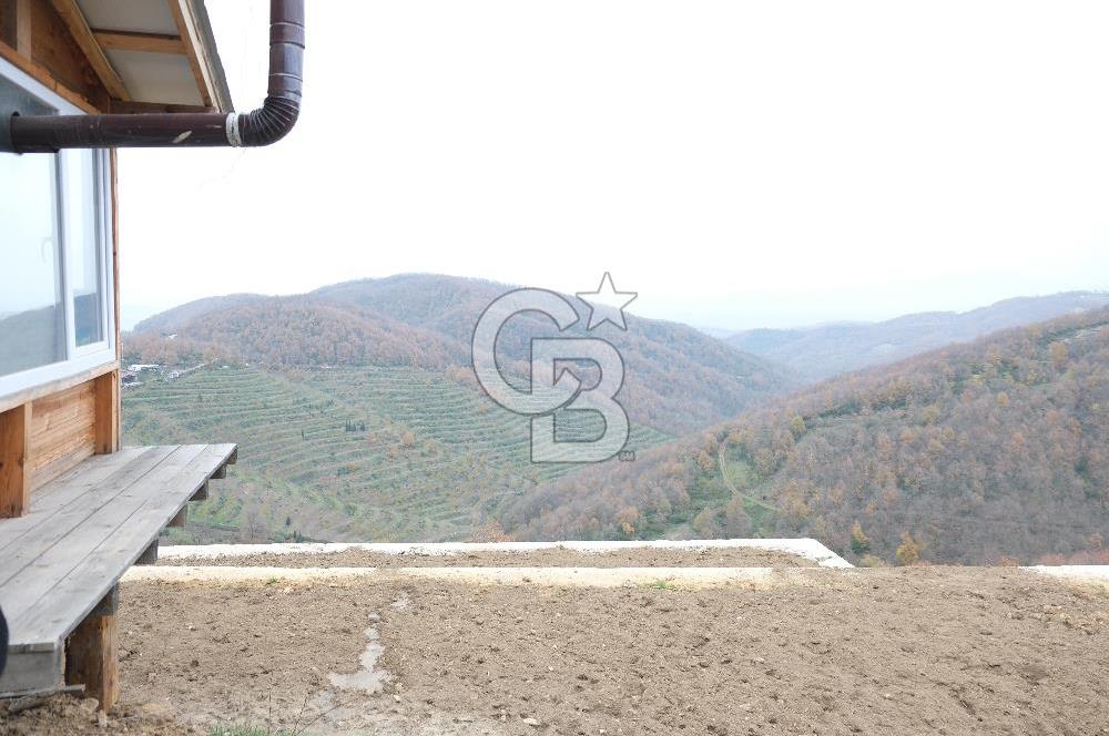 YALOVA SERMAYECİK 4404 M2 ARAZİ İÇİNDE MANZARALI BAĞ EVİ