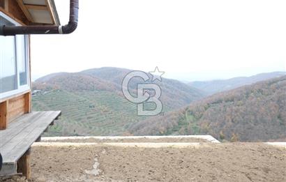 YALOVA SERMAYECİK 4404 M2 ARAZİ İÇİNDE MANZARALI BAĞ EVİ