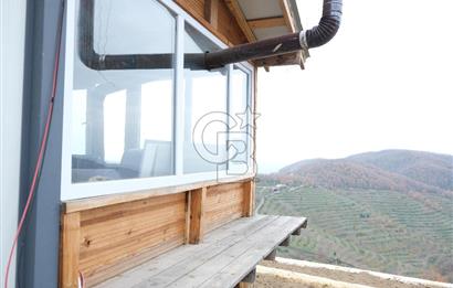 YALOVA SERMAYECİK 4404 M2 ARAZİ İÇİNDE MANZARALI BAĞ EVİ