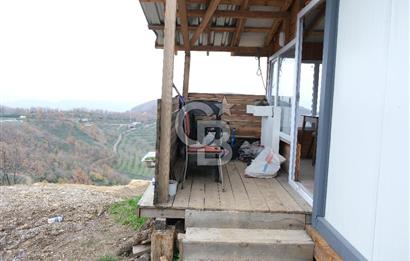 YALOVA SERMAYECİK 4404 M2 ARAZİ İÇİNDE MANZARALI BAĞ EVİ