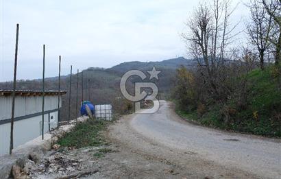 YALOVA SERMAYECİK 4404 M2 ARAZİ İÇİNDE MANZARALI BAĞ EVİ