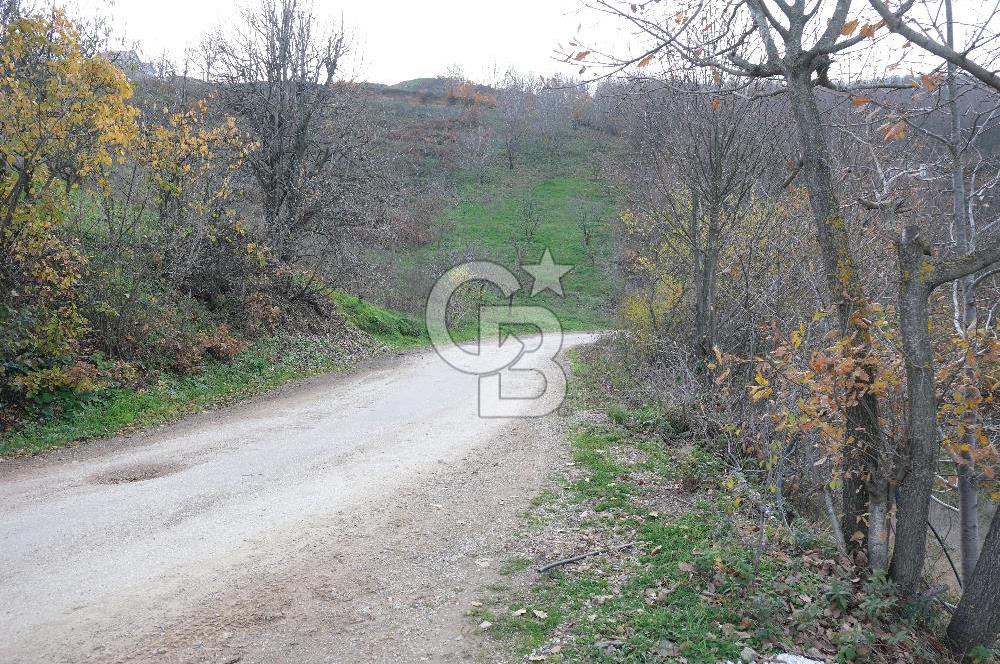 YALOVA SERMAYECİK 4404 M2 ARAZİ İÇİNDE MANZARALI BAĞ EVİ