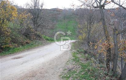 YALOVA SERMAYECİK 4404 M2 ARAZİ İÇİNDE MANZARALI BAĞ EVİ