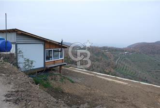 YALOVA SERMAYECİK 4404 M2 ARAZİ İÇİNDE MANZARALI BAĞ EVİ - 2 - 323678