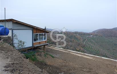 YALOVA SERMAYECİK 4404 M2 ARAZİ İÇİNDE MANZARALI BAĞ EVİ