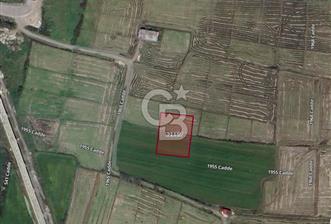 SATILIK T2 İMARLI TİCARİ ARSA 2 - 4 - 323676