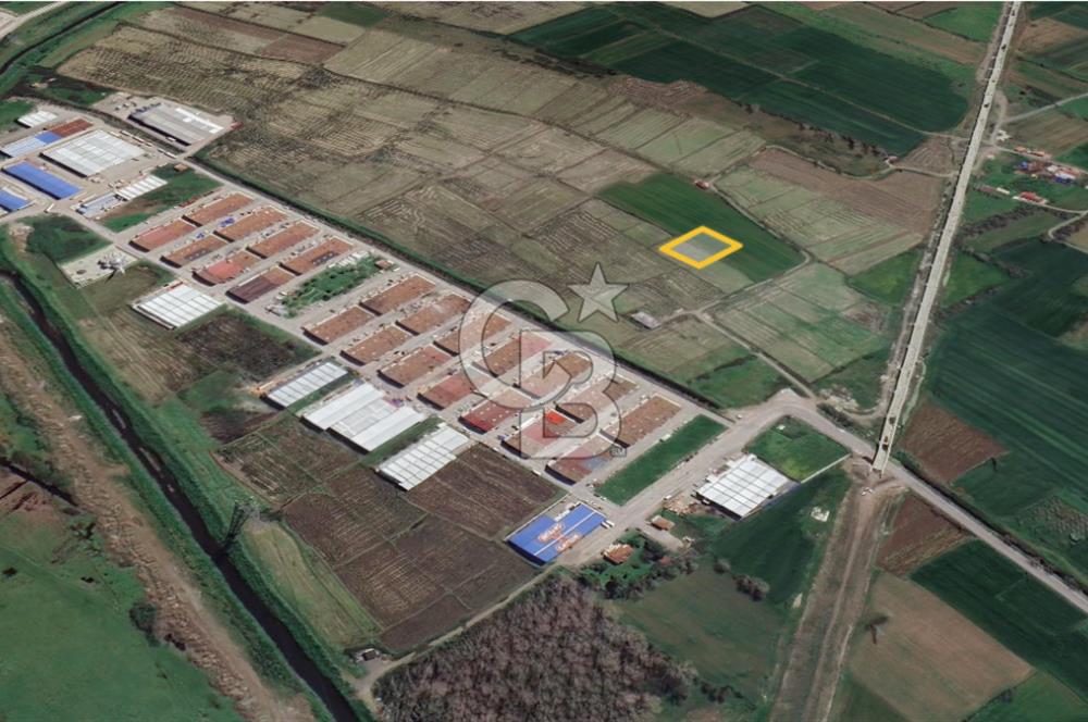 SATILIK T2 İMARLI TİCARİ ARSA 2