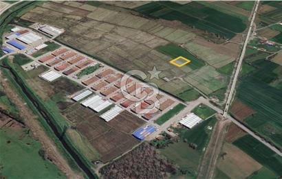 SATILIK T2 İMARLI TİCARİ ARSA 2