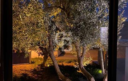 Ayvalık Mutlu Mahallesi 434 m² Arsada Yeni Tek Kat Müstakil Ev