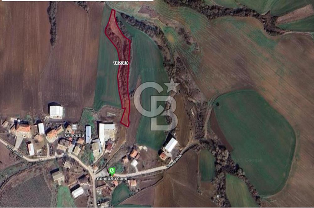 TEKİRDAĞ SÜLEYMANPAŞA GÜNDÜZLÜ 124M2 SATILIK ARAZİ