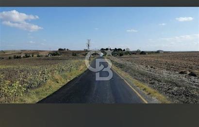 TEKİRDAĞ SÜLEYMANPAŞA GÜNDÜZLÜ 124M2 SATILIK ARAZİ