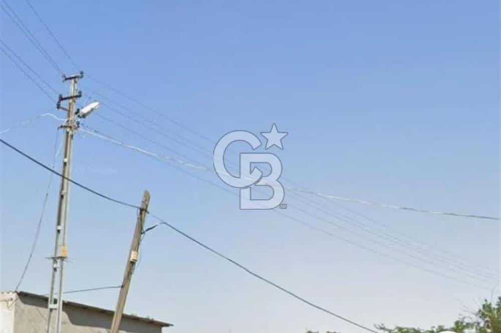 TEKİRDAĞ SÜLEYMANPAŞA GÜNDÜZLÜ 124M2 SATILIK ARAZİ