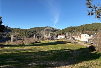 Menteşe, Algı'da Satılık 1.085 m² Villa İmarlı Arsa  - 3 - 323748