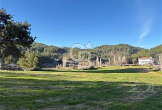 Menteşe, Algı'da Satılık 1.085 m² Villa İmarlı Arsa  - 4 - 323746