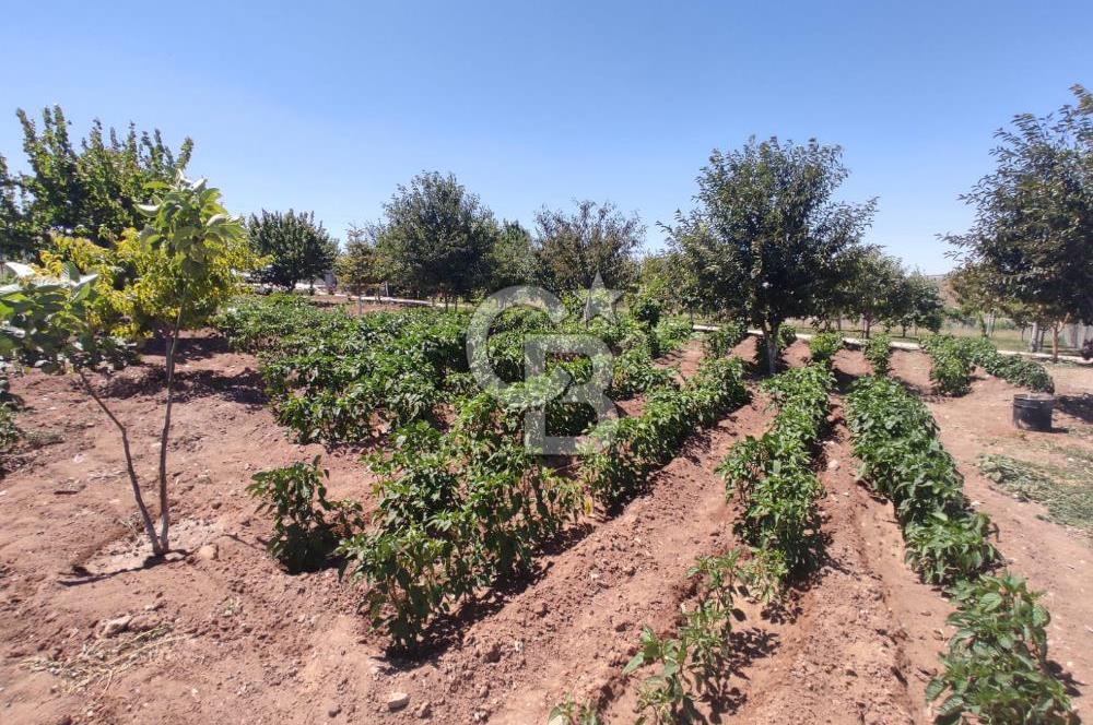 GÖLBAŞI YAĞLIPINAR DA 750 m² GÖL MANZARALI İMARLI ARSA