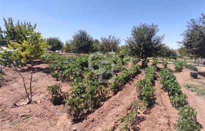 GÖLBAŞI YAĞLIPINAR DA 750 m² GÖL MANZARALI İMARLI ARSA