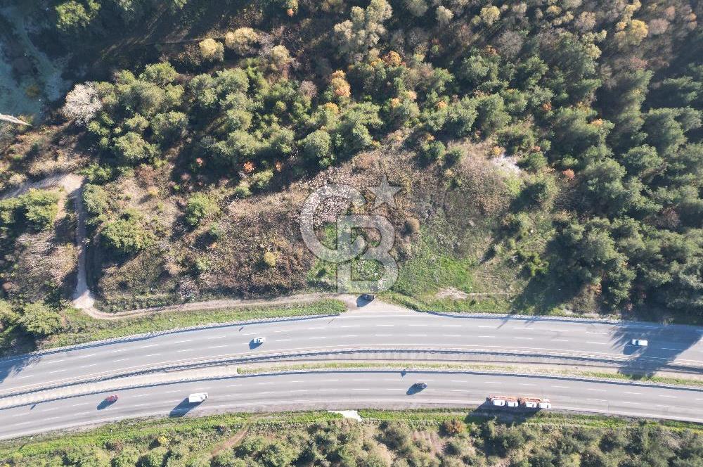 BURSA GEMLİK KURTUL'DA SATILIK ARAZİ