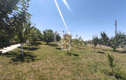 GÖLBAŞI YAĞLIPINAR DA 750 m² GÖL MANZARALI İMARLI ARSA