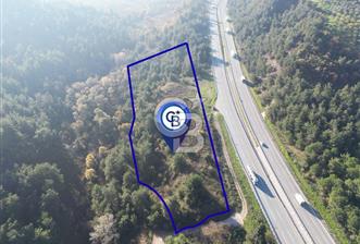 BURSA GEMLİK KURTUL'DA SATILIK ARAZİ - 6 - 323763