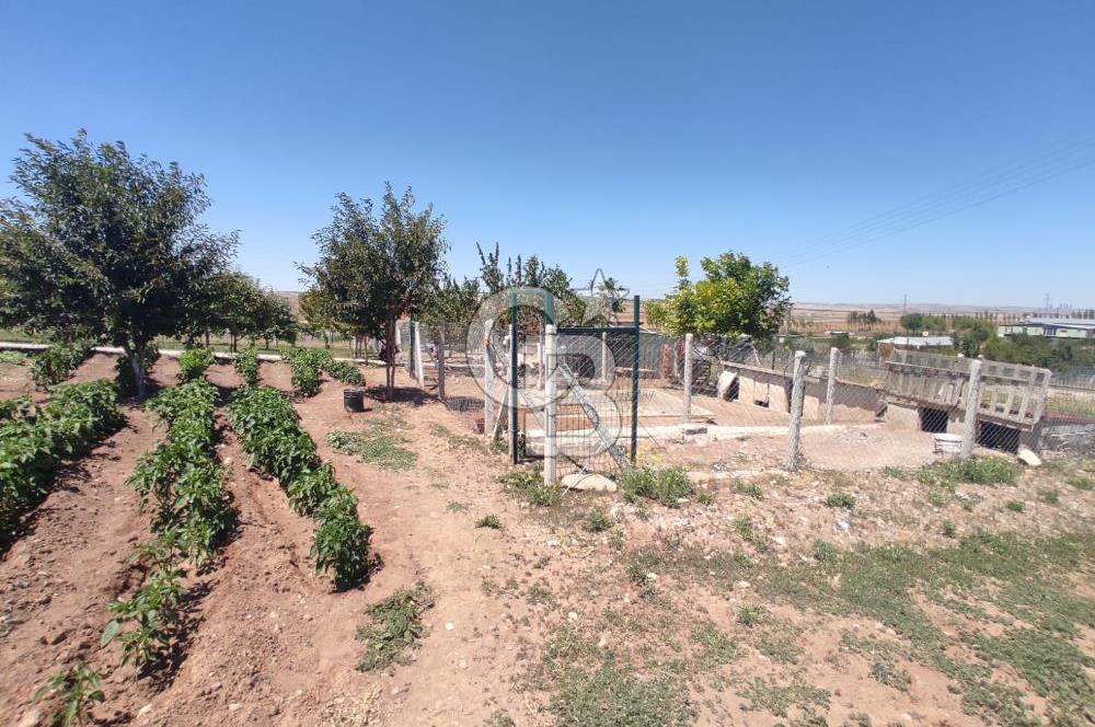 GÖLBAŞI YAĞLIPINAR DA 750 m² GÖL MANZARALI İMARLI ARSA