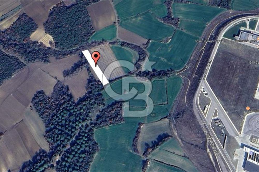 1915 Çanakkale Köprüsü Manzaralı Tarla Acil Satılık Fırsat!!