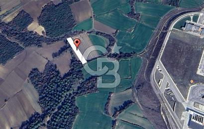 1915 Çanakkale Köprüsü Manzaralı Tarla Acil Satılık Fırsat!!