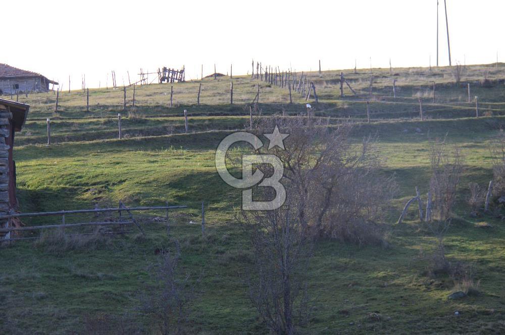 KASTAMONU İHSANGAZİ DAĞYOLU KÖYÜNDE 1642 M2 TARLA - YATIRIMLIK