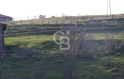 KASTAMONU İHSANGAZİ DAĞYOLU KÖYÜNDE 1642 M2 TARLA - YATIRIMLIK