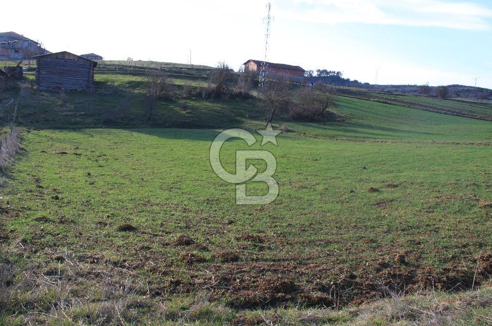 KASTAMONU İHSANGAZİ DAĞYOLU KÖYÜNDE 1642 M2 TARLA - YATIRIMLIK