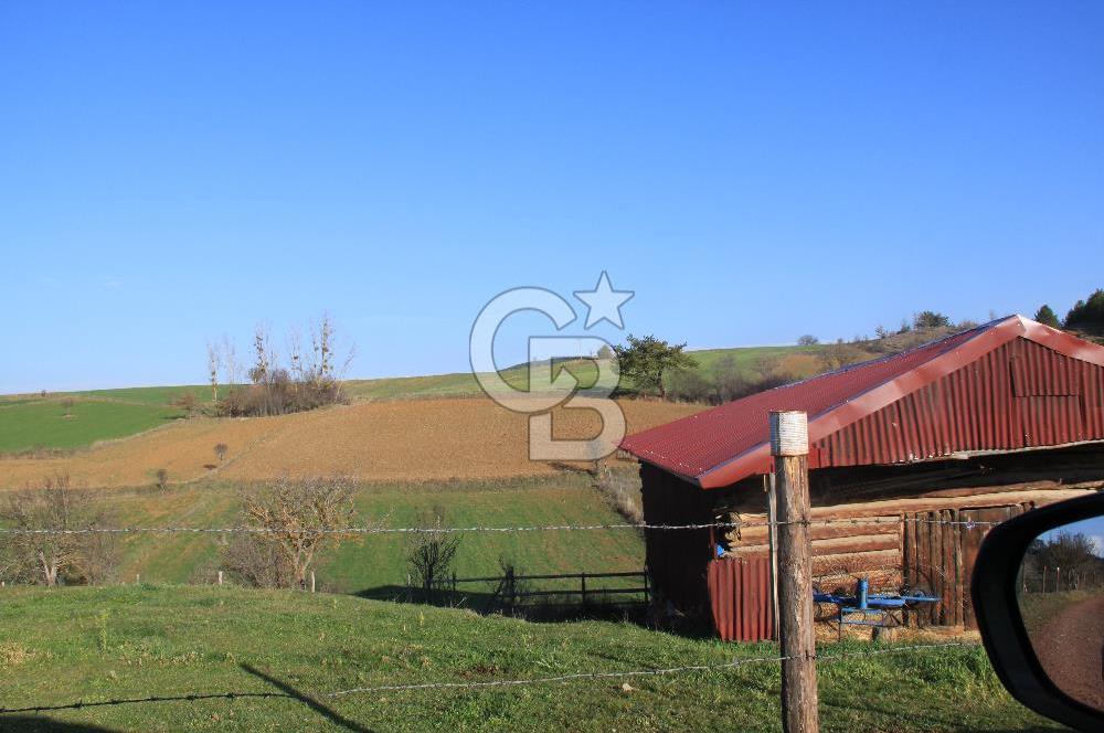 KASTAMONU İHSANGAZİ DAĞYOLU KÖYÜNDE 1642 M2 TARLA - YATIRIMLIK