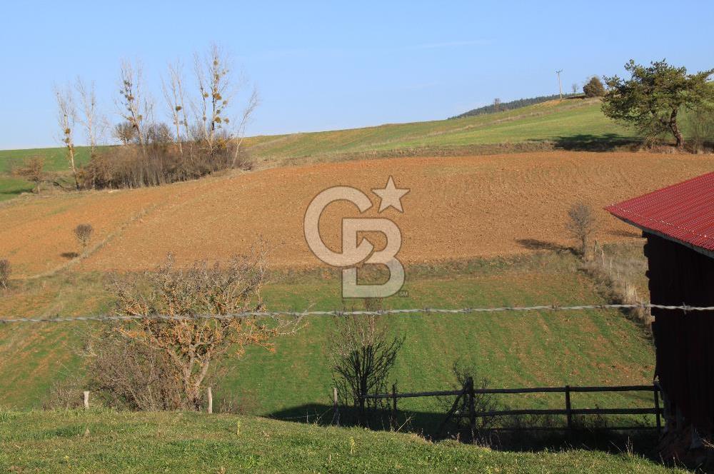 KASTAMONU İHSANGAZİ DAĞYOLU KÖYÜNDE 1642 M2 TARLA - YATIRIMLIK