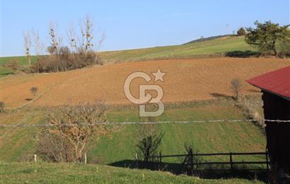 KASTAMONU İHSANGAZİ DAĞYOLU KÖYÜNDE 1642 M2 TARLA - YATIRIMLIK