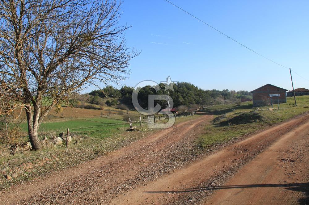 KASTAMONU İHSANGAZİ DAĞYOLU KÖYÜNDE 1642 M2 TARLA - YATIRIMLIK