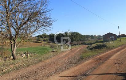 KASTAMONU İHSANGAZİ DAĞYOLU KÖYÜNDE 1642 M2 TARLA - YATIRIMLIK